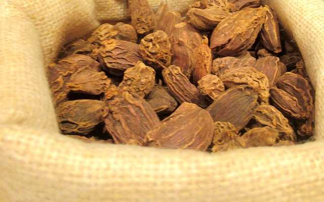 Black cardamom pods