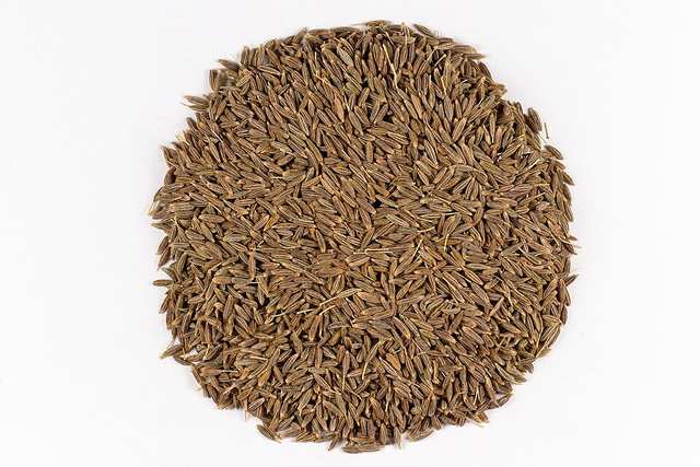 Seeds of Cumin