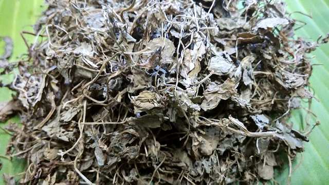 Dried leaves of Fenugreek-Kasuri Methi
