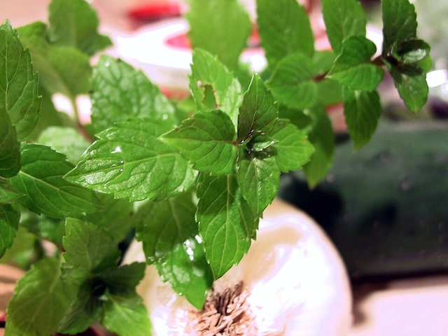 Mint from the garden in December