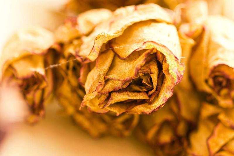 Dried rose petals (Gulab pankhudi)