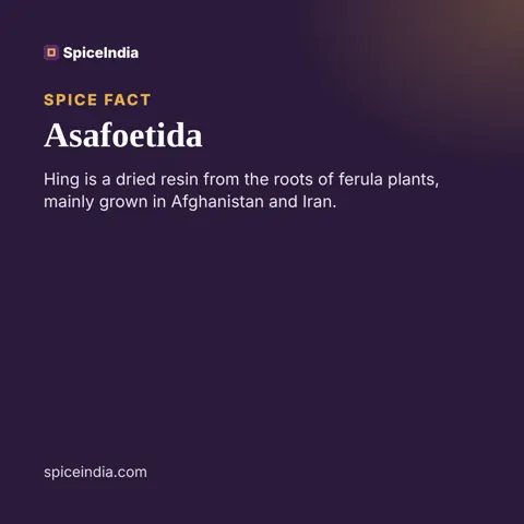 Asafoetida