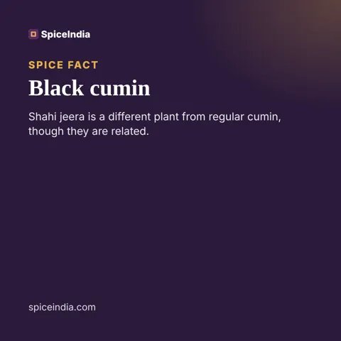 Black cumin